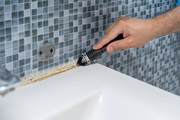 Best Mold Removal Specialists  in Anthem, AZ